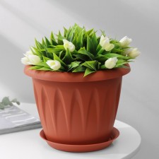 Pot with the Podon 