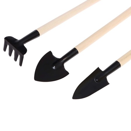 Set for experiments "Your Ecofroma", 2 in 1-4