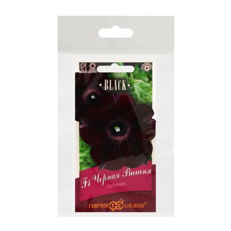Petunia flowers "Black Cherry" F1 multi -flowered, oh granules, set 5 pcs-2