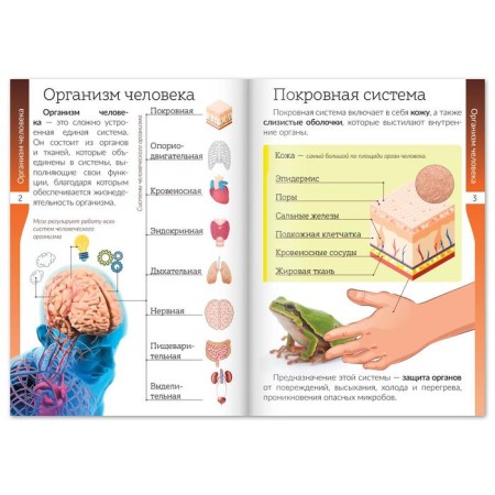 A set of books-scrolls "World of Nature and Man", 6 pcs.-5