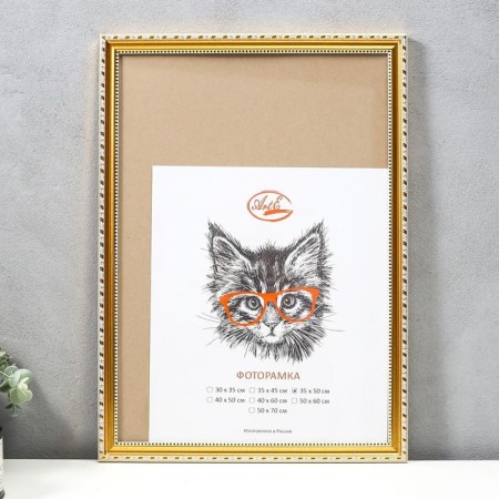 Photo frame plastic 35x50 cm, gold line (plastic screen)