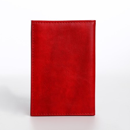 Cover for passport, red color-2
