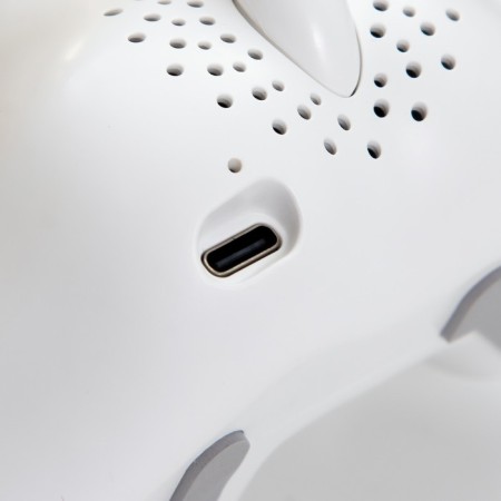 Night Projector "Dog" LED 2W USB white 11x11x19 cm Risalux-21