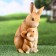 Garden figure "Bunny with a hare" 13x12x25cm