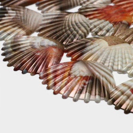 The lattice in the sink of the round share "shells", 28 × 28 cm-3