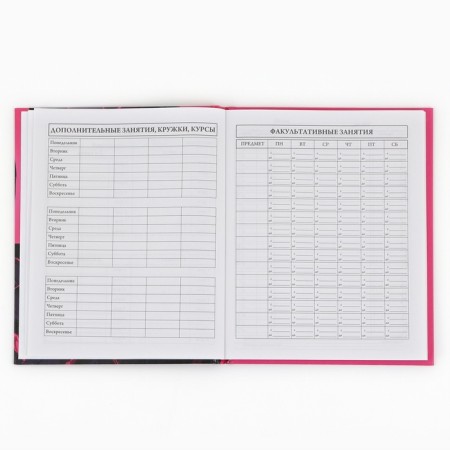 School Diary 1-4 class, in a solid cover, 48 liters "September 1: Anime Girl"-5