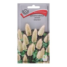 Seeds of flowers decorative cereals 