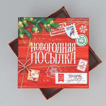 Gift Box "New Year's Parcel", 26.2 x 26.2 x 14 cm, New Year-2