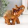 Souvenir Polystone "Elephant in the Golden Popone with Patterns" Lacu 10x5x12 cm