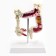 Mettle of the "intestines" 19*15cm