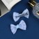 Hair clip "Schoolgirl" (set 2 pcs) pattern, 6 cm, blue