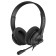 Headphones with A4Tech HU-10 Microphone 2M Lice -ce Coal Board (HU-10/USB/Black)