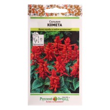Salvia flowers 