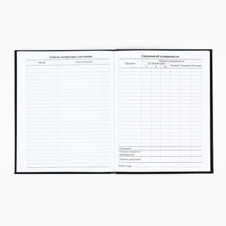 School diary for grade 1-11, in an integrated cover, 40 liters. "Anime. Kotik"-3