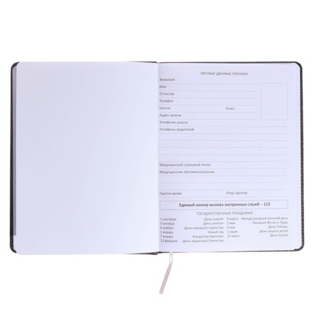 Universal diary for grade 1-11 JD Monster, hard cover, artificial leather, foam rubber, lies, 80 g/m2-3