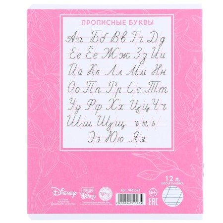 Notebook in a slanting ruler of 12 sheets, 5 types of mix, cover coated cardboard, cats aristocrats-8
