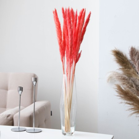 Sukhotzet "reed" set 15 pcs, the color is gently pink