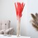 Sukhotzet "reed" set 15 pcs, the color is gently pink