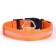 Collar with backlight size XL, Osh 52-60 x 2.5 cm, 3 glow modes Orange