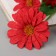 Artificial flowers "Cosmea Lady Galant" 57x8 cm, red