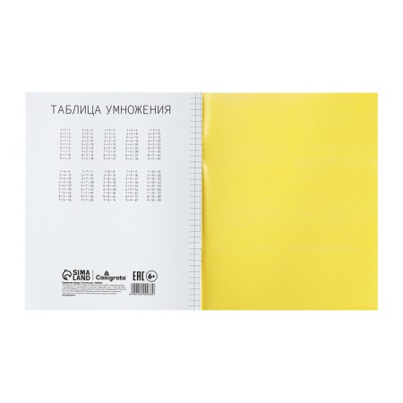 Notebook 12 sheets in Calligrata "Yellow", a plastic cover, with a multiplication table, an offset unit-4