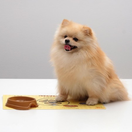 A rug for a bowl of "dive" with a non -slip base, 43 x 28 cm, "dog menu"-7