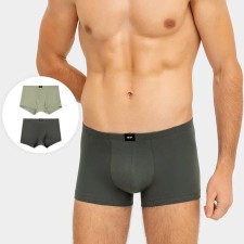 Set of men's panties boxers (2 pcs.), Dark khaki/green tea, rr 46 (s)