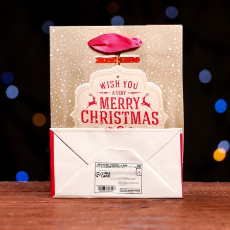 Laminated "New Year's Positive" package 11.5 x 14.5 x 6 cm-1