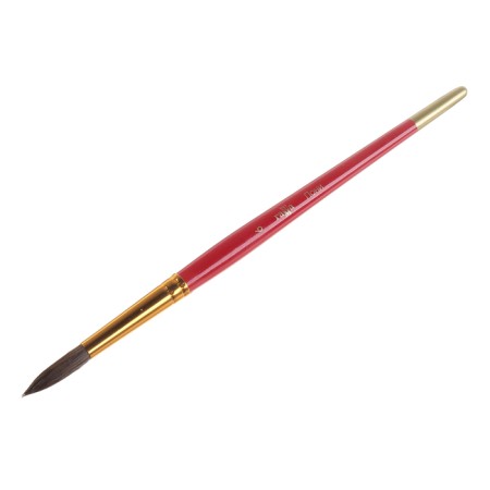 Pony brush, round No. 6, "gamma"