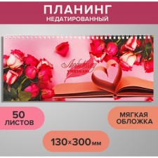 Planning Nizunsi 130 x 300 mm, 50 sheets, on the crest, soft cover, 