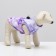 Dogs for dogs with a zipper "Amethyst", size S, lilac (DS 20, Osh 28, OG 39 cm)