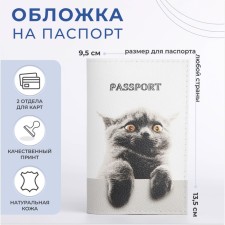 Cover for passport, white color