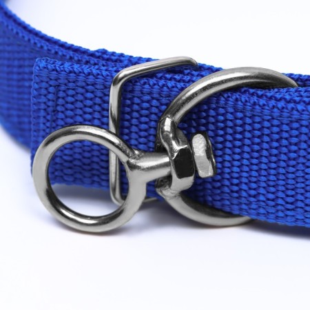 Two -layer collar with a swivel 58 x 3 cm, polyester, blue-3