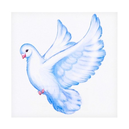 Set of prayers "pigeons" 5 pcs, 9.5 x 9.5 cm-4