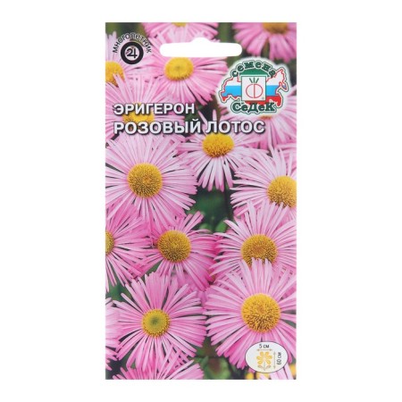 Erigeron flowers, small -player, euro, 0.1 g