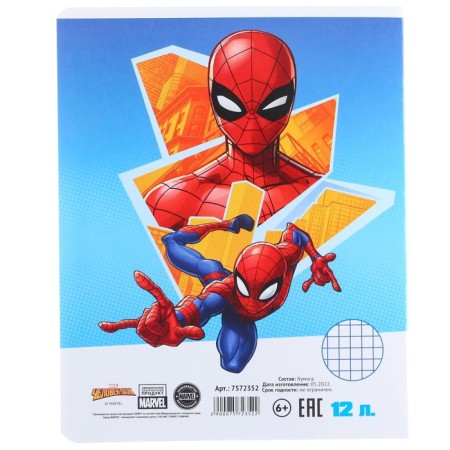 Notebook in a cage 12 sheets, 5 types of mix, cover coated cardboard, spider-man-9