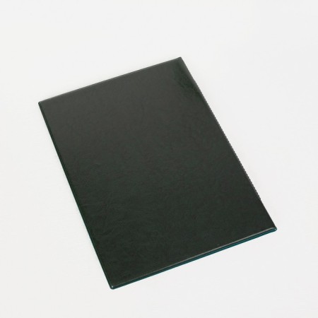 Folder for documents, 2 sets, green color-1
