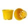 Pot for seedlings, 5 l, d = 22 cm, h = 18 cm, yellow, greengo