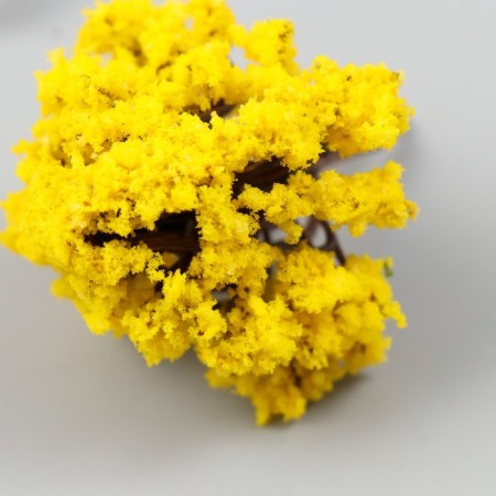 Artificial plant for creativity plastic "acacia" 6 cm-2