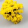Artificial plant for creativity plastic "acacia" 6 cm