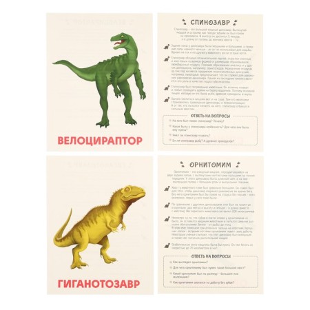 Training cards "Dinosaurs"-6