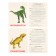 Training cards "Dinosaurs"