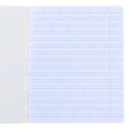 Notebook in a slanting ruler of 12 sheets, 5 types of mix, cover coated cardboard, cats aristocrats-3