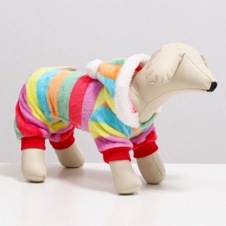 Combineson "Rainbow" with a hood, size XL (DS 40 cm, og 50 cm, Osh 40 cm)