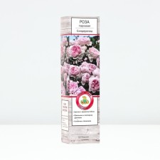 Sahenian Rosa Parkovaya 