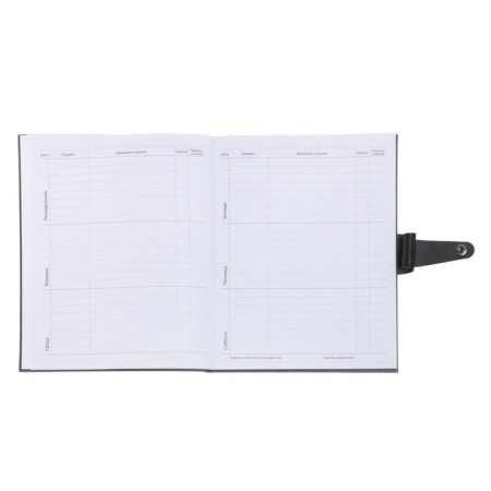 Universal diary for grades 1-11 Favorite, integrated artificial leather cover on the button, embossing foil, liesse, 48 sheets-13