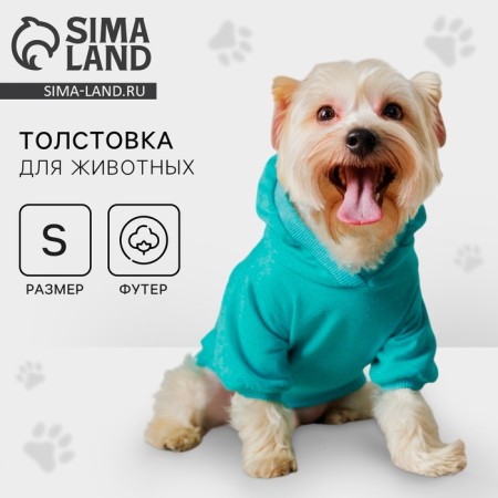 CHAMPION Holstery for dogs (footer), size S (DS 23, Osh 32-34, OG 40-44), Blue
