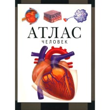 Human. Atlas. 4th edition. Barabanov S.V.