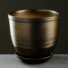 Flower Pot 