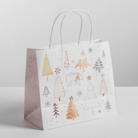 Package Gift craft "Magic", 25 x 22 x 12 cm, New Year-1